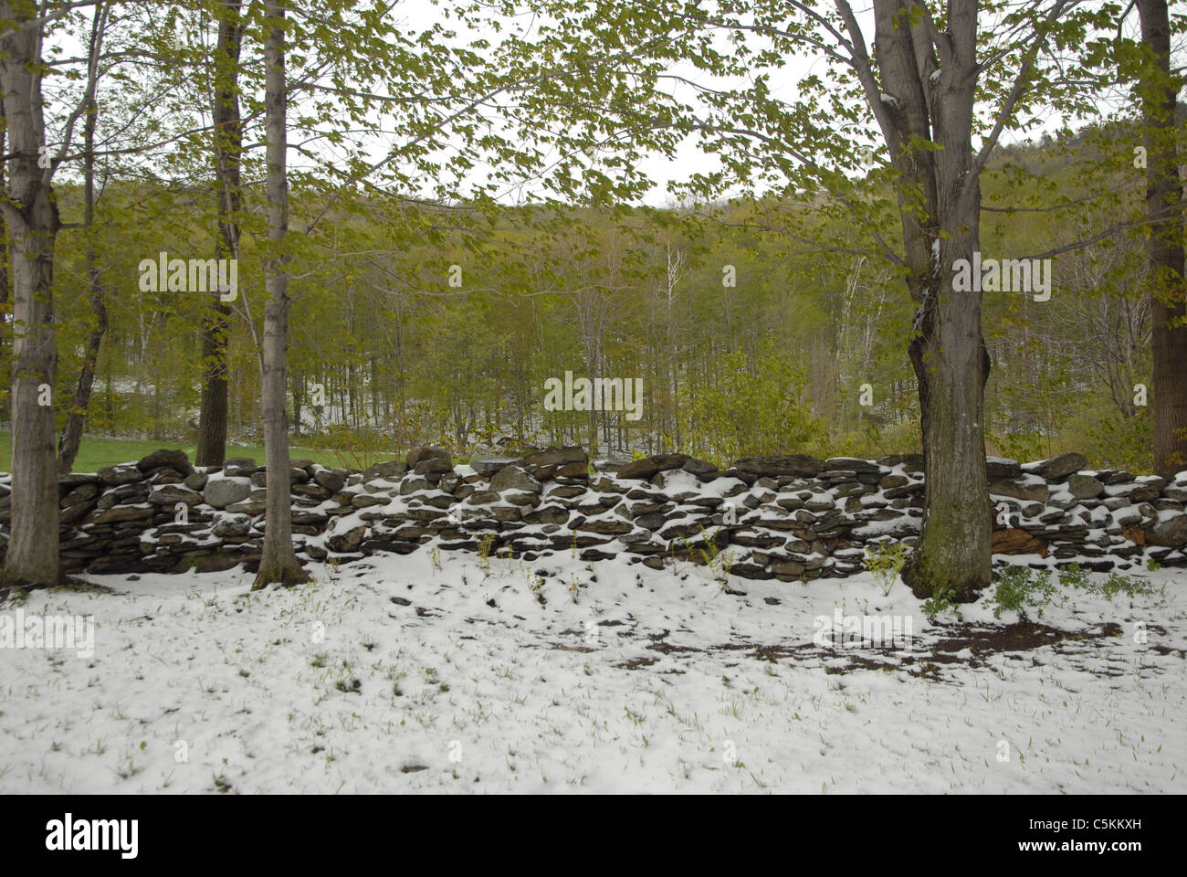 Eine Frühlingsschnee deckt den Boden und Felsen in Fayston, Vermont. Stockfoto