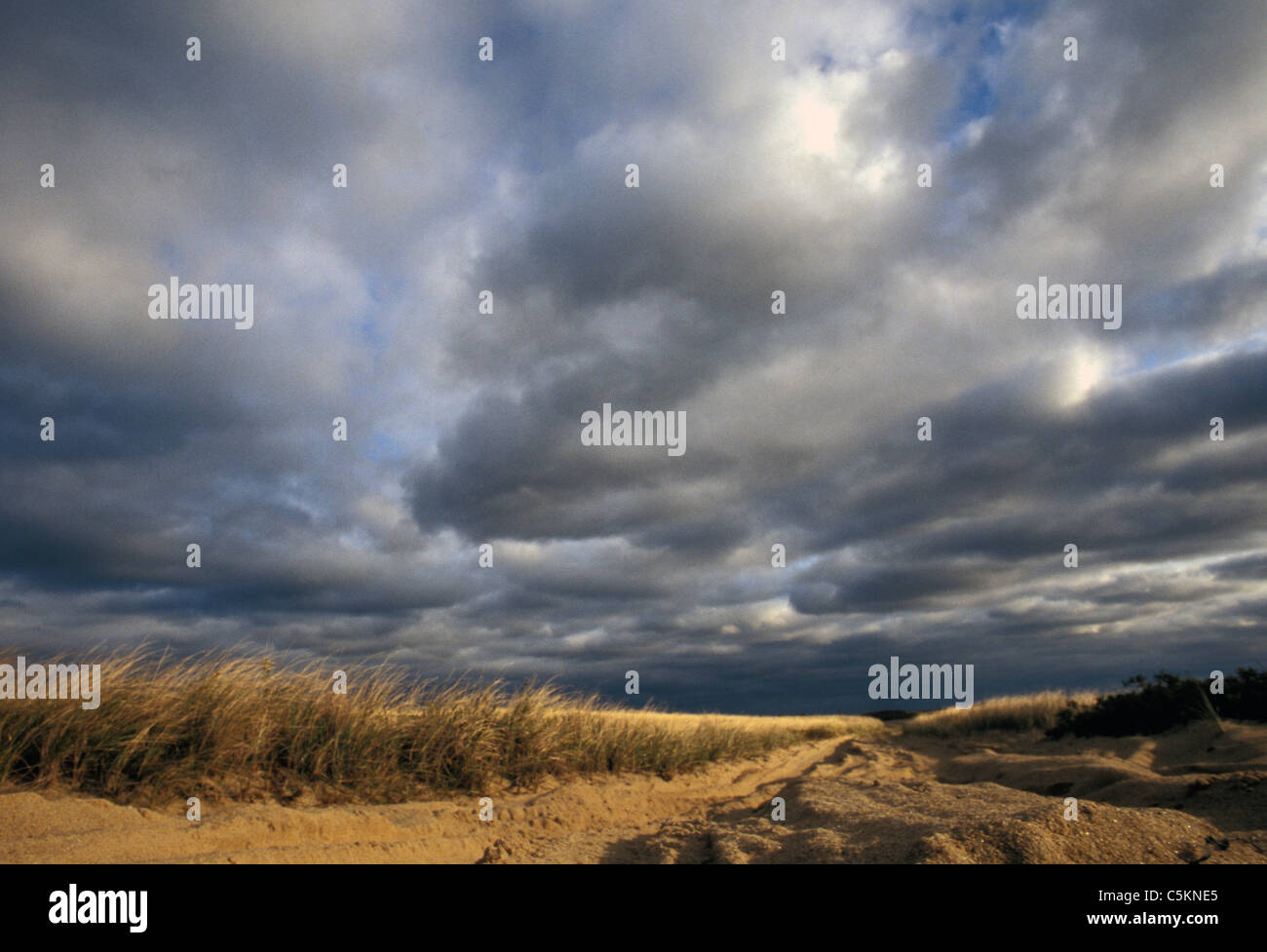 Chappy; Strand; fallen Stockfoto