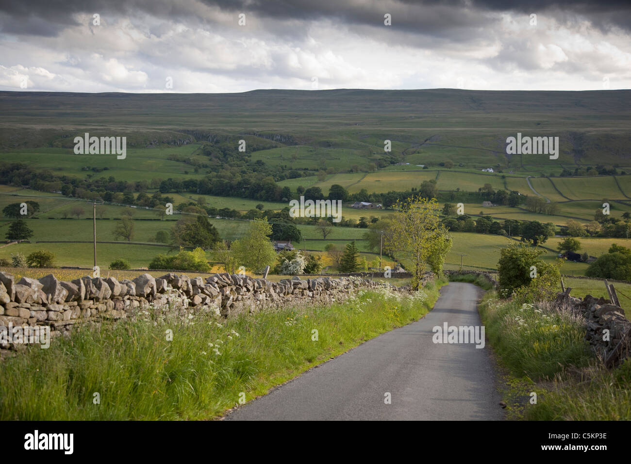 Ein schmalen Feldweg mit Trockenmauern Wände in Weardale, County Durham, England, UK Stockfoto