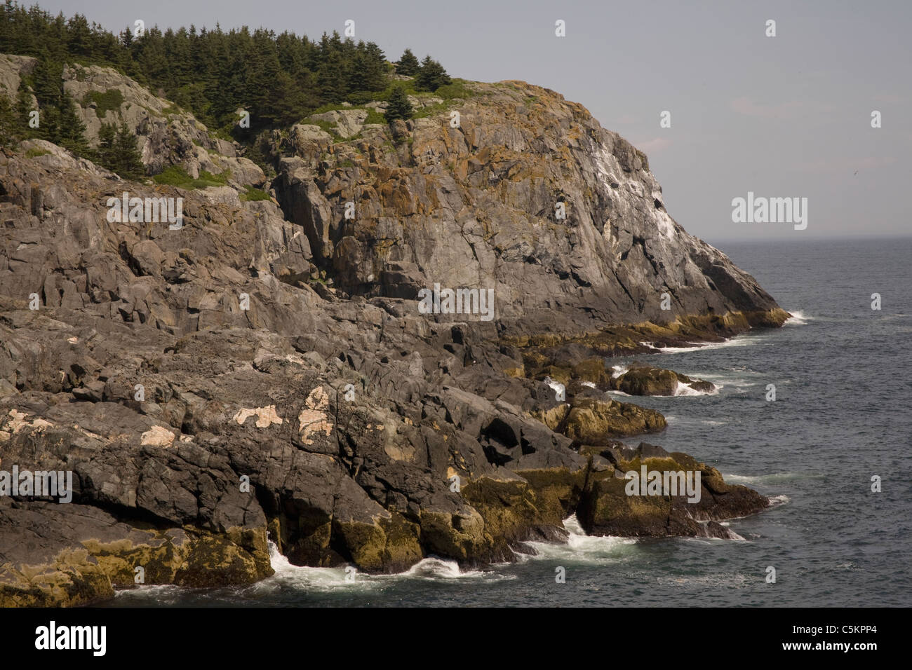 Monhegan Island, Maine - Punkt bekannt als Mitesser, einer Klippe entlang der Küste der Insel, ein Wanderweg erreichbar. Oft dargestellt Stockfoto