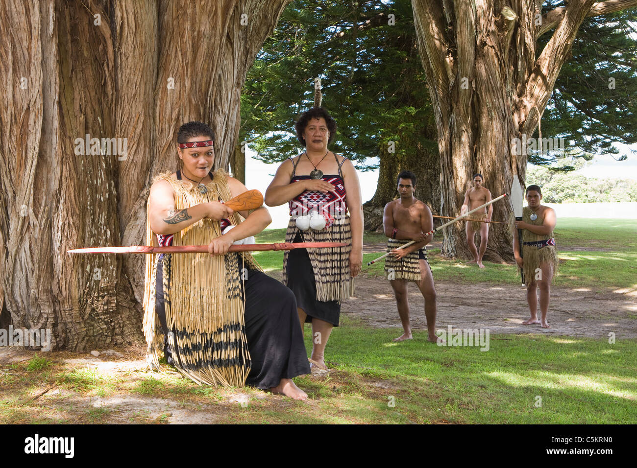 Maori Künstler auf einer wunderschönen Anlage.  Waitangi Treaty Grounds.  506 Hektar native Land wo der Vertrag von Waitangi war Stockfoto