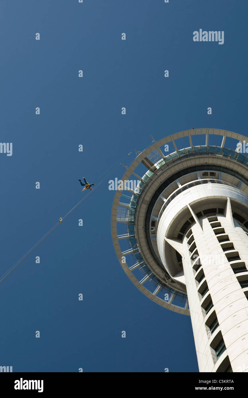 Person bungy jumping vom Skytower Nadel in der Innenstadt von Auckland, Neuseeland Stockfoto