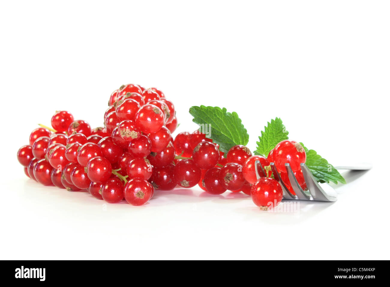 frische rote Johannisbeeren auf weißem Hintergrund Stockfoto