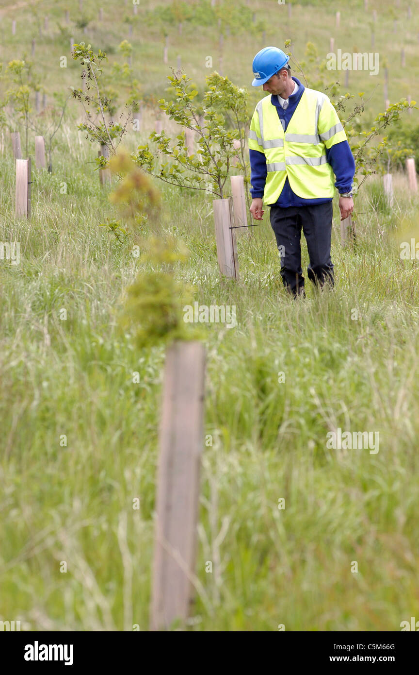 SITA UK Deponie, sichere Entsorgung von Abfällen nicht recycelt. Mitarbeiter neu überprüfen Bäume gepflanzt Stockfoto