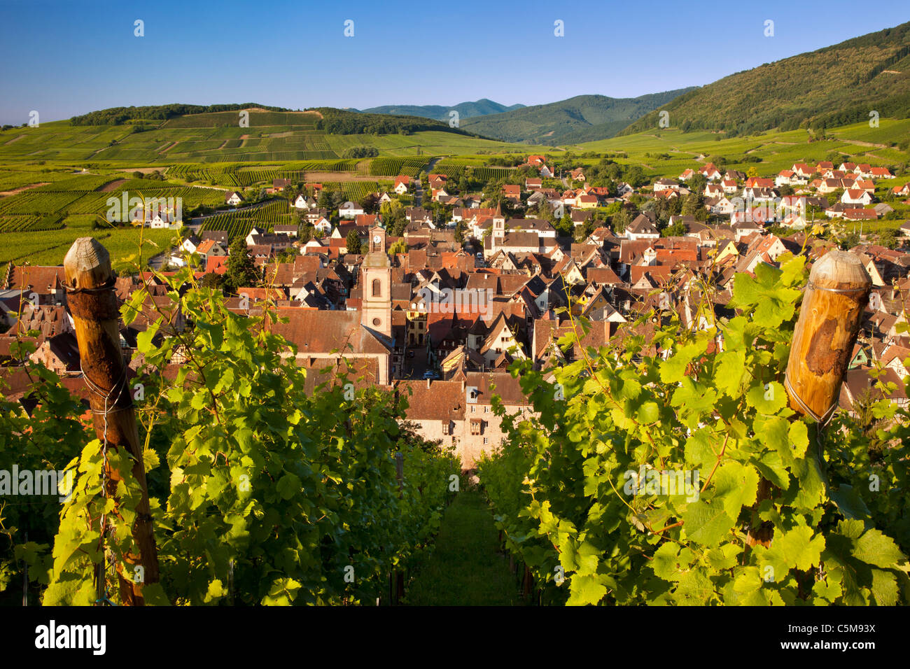 Am frühen Morgen mit Blick auf Dorf von Riquewihr, entlang der Wein Route, Elsass Haut-Rhin-Frankreich Stockfoto