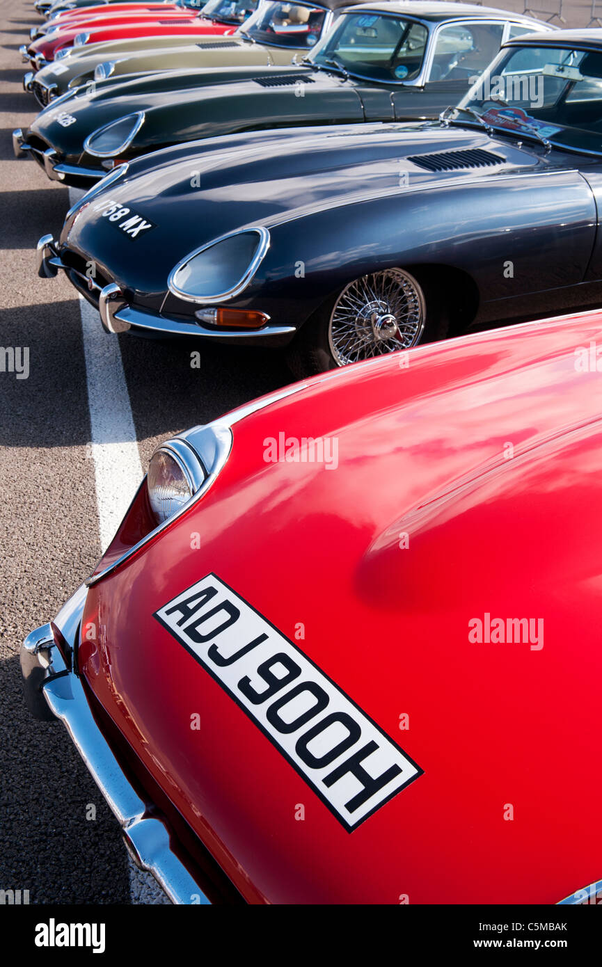 E-Type-Jaguar-front-End. Britische Sportwagen-Klassiker Stockfoto