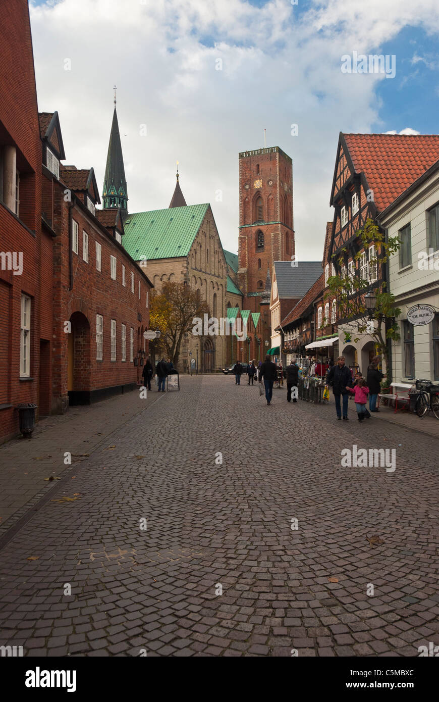 Altstadt mit Ribe Dom und Einkaufsstraße, Jütland, Dänemark Stockfoto