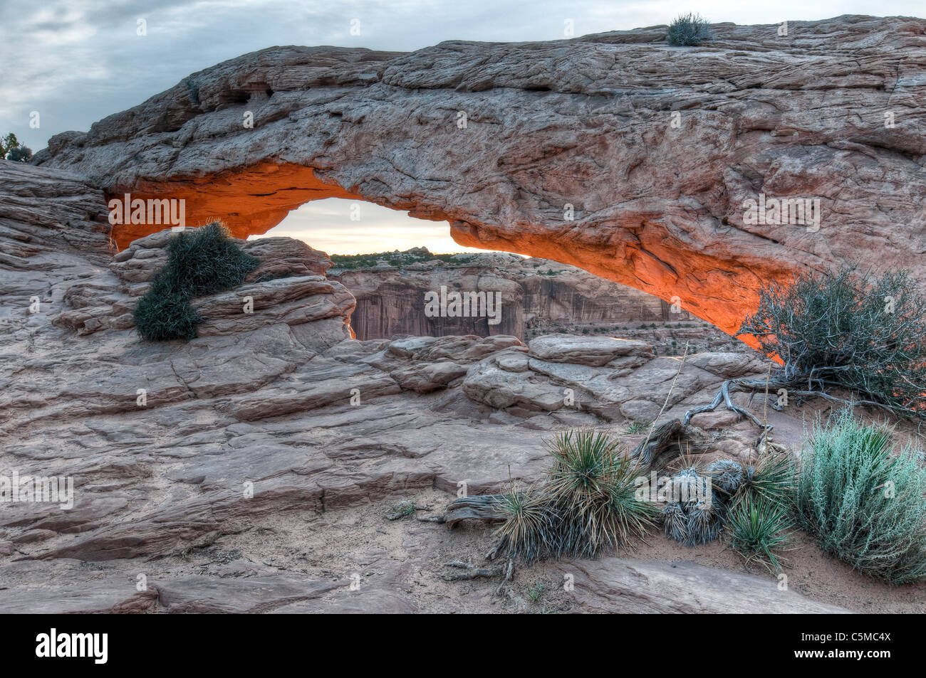 MESA ARCH bei Sonnenaufgang, Canyonlands National Park, Utah, USA Stockfoto