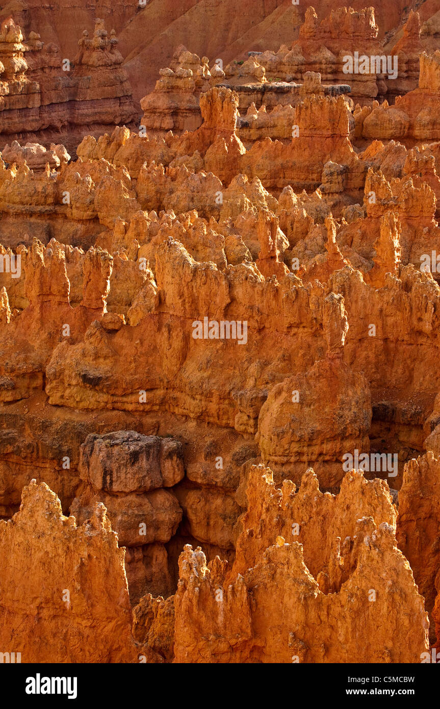 Bryce Canyon Nationalpark, Sunset Point, Amphitheater, Felsformationen und Hoodoos bei Sonnenuntergang, Utah, USA Stockfoto