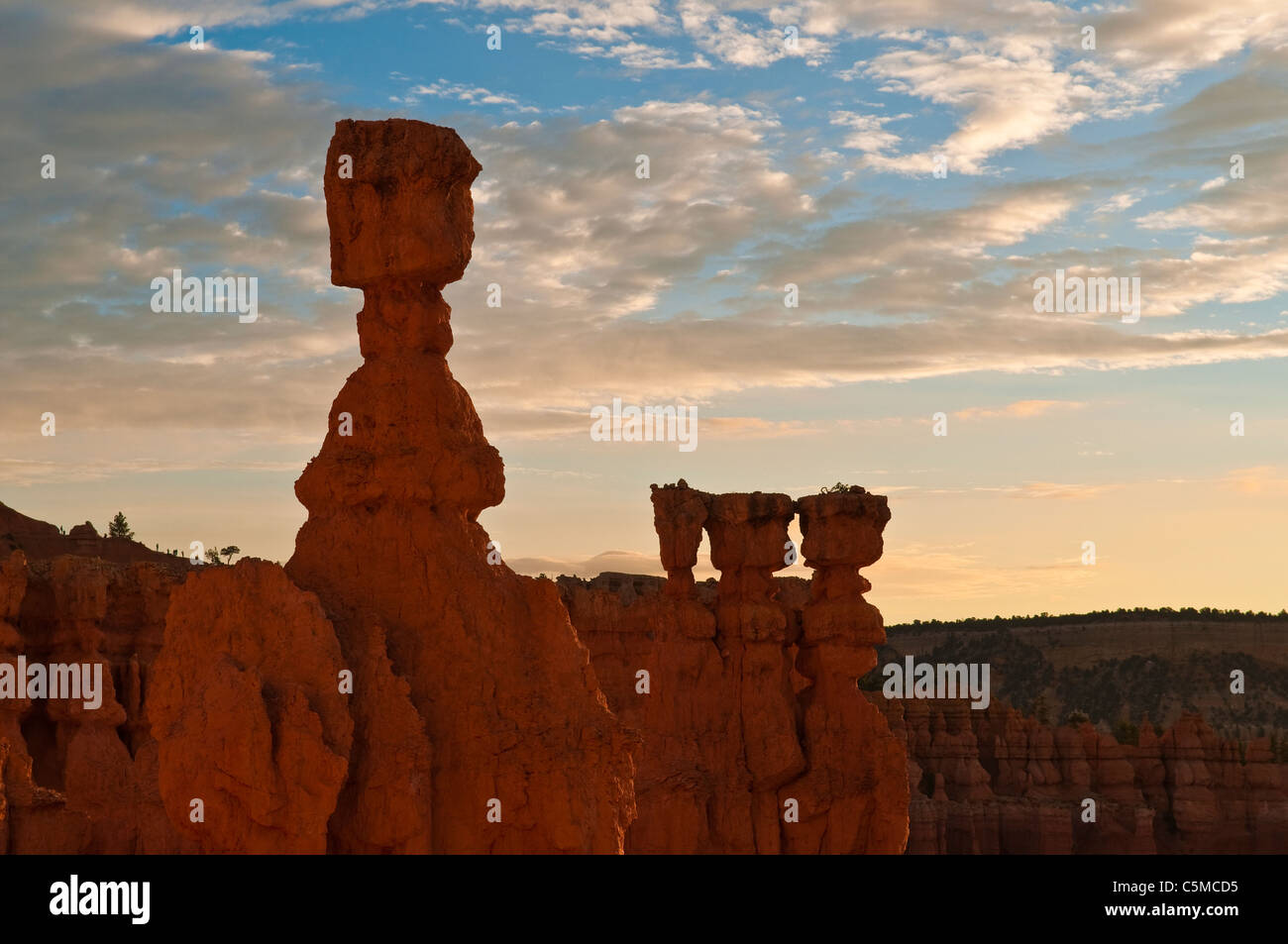 Thors Hammer im Morgengrauen, Amphitheater, Bryce-Canyon-Nationalpark, Utah, USA Stockfoto
