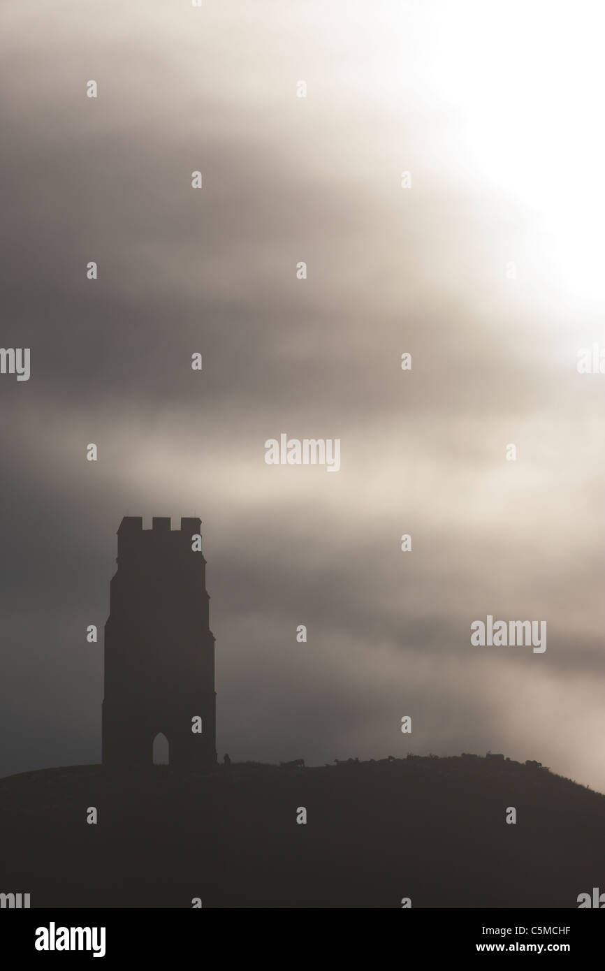 Misty Dawn über Glastonbury Tor mit einer Herde Schafe weiden neben Stockfoto