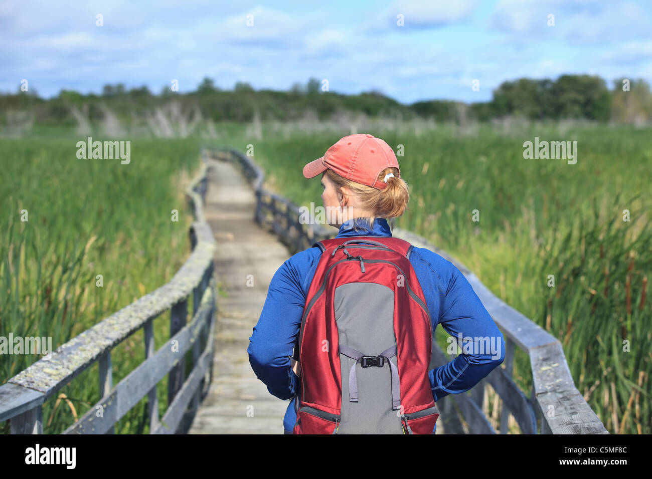 Frau auf einem Sumpf Holzsteg wandern.  Grassy Narrows Marsh, Manitoba, Kanada. Stockfoto