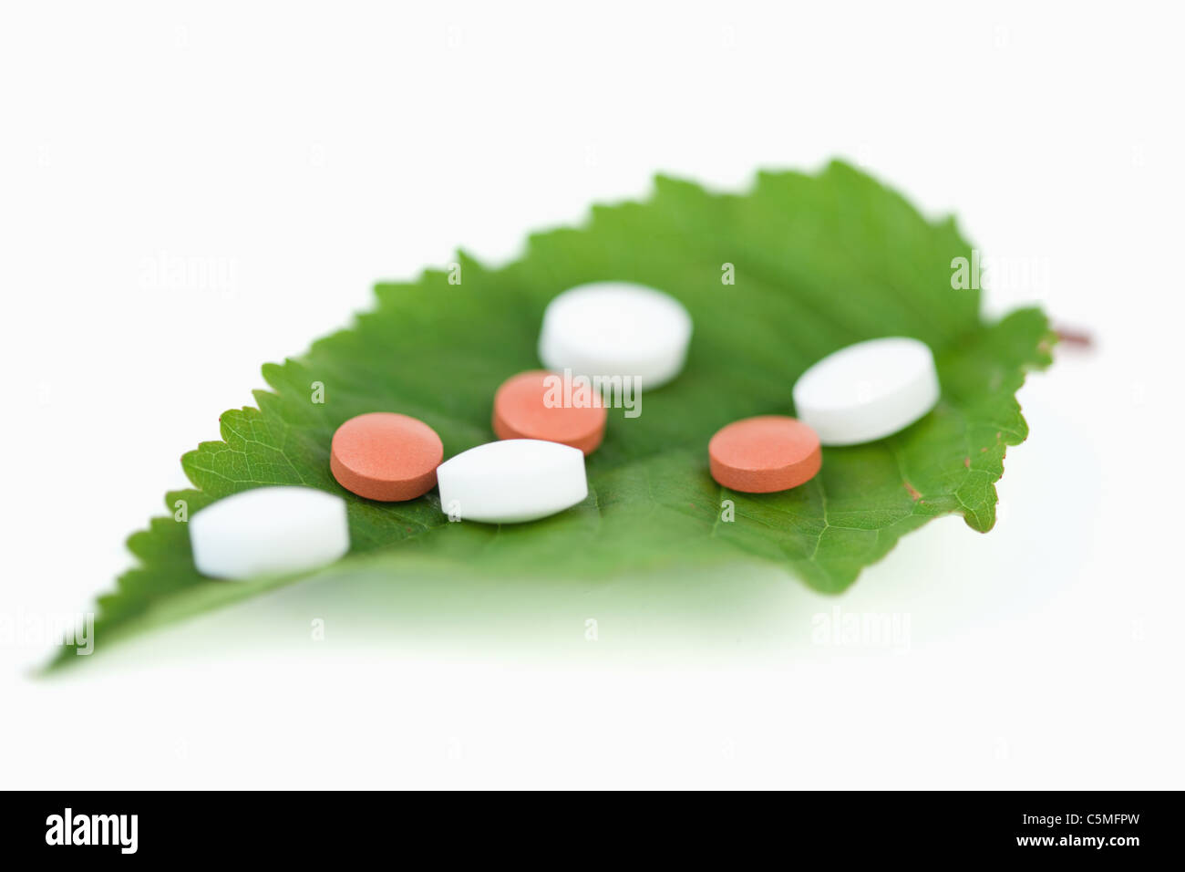 Pillen auf einem Blatt Stockfoto