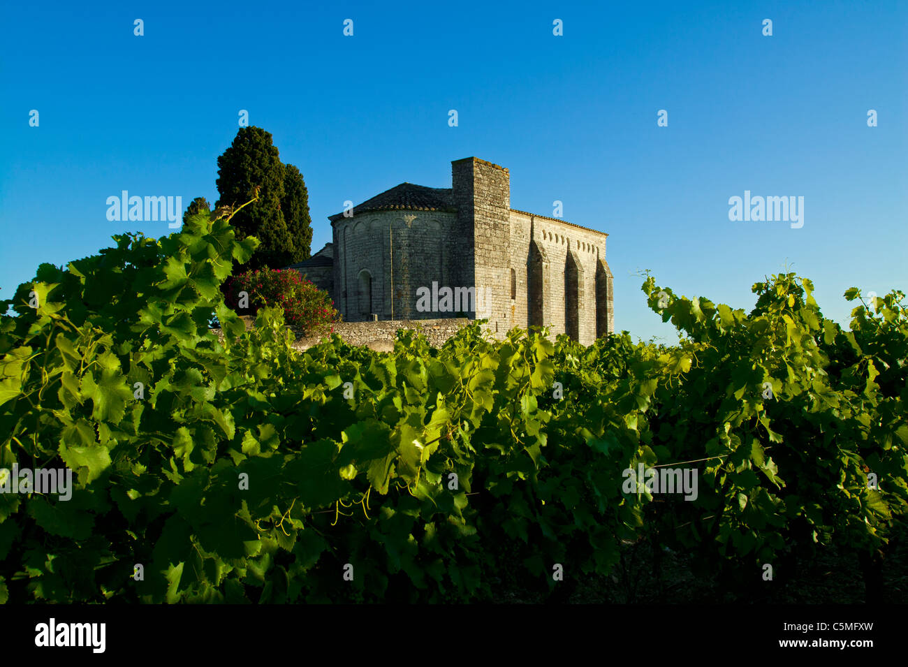 Kapelle Saint Julien De Montredon, Salinelles, Gard, Languedoc-Roussillon, Frankreich Stockfoto