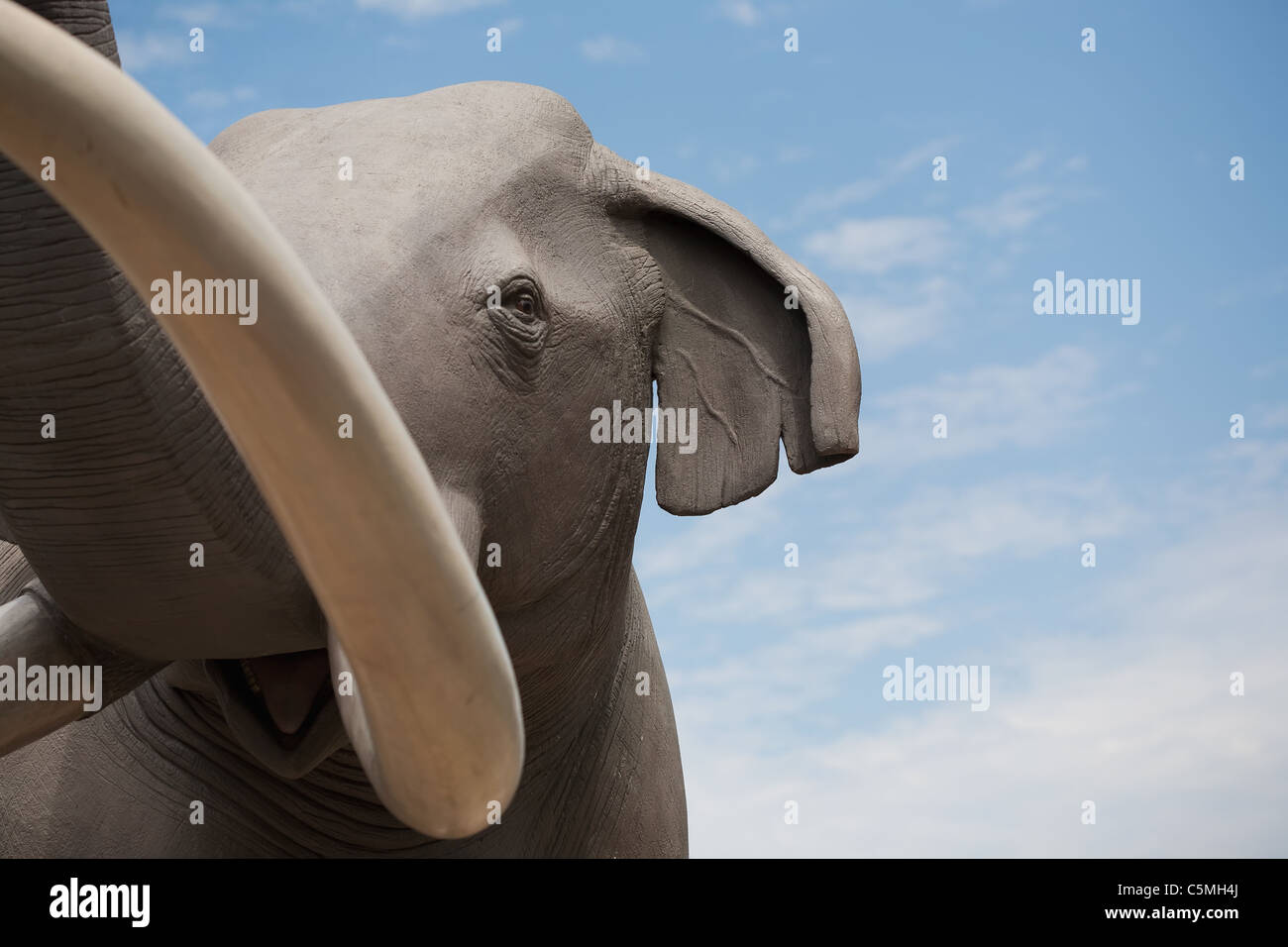 Statue eines Elefanten mit Stoßzähnen Stockfoto