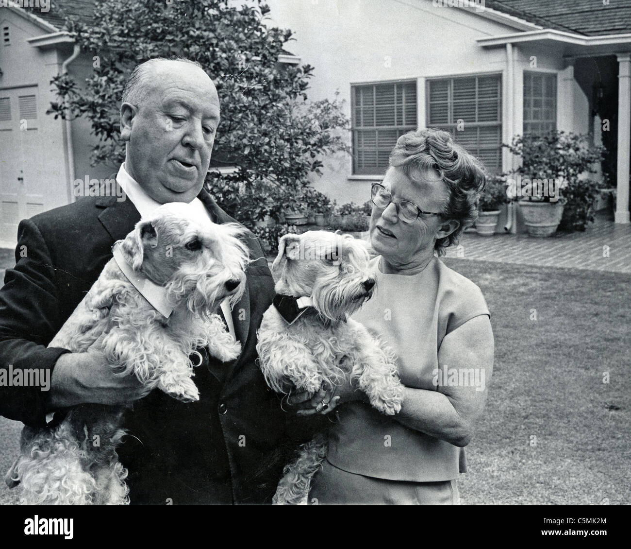 ALFRED HITCHCOCK mit Frau Alma und Selyham Hunden Stanley und Geoffrey in  ihrem Bel Air, Los Angeles, zu Hause, 1963 Stockfotografie - Alamy