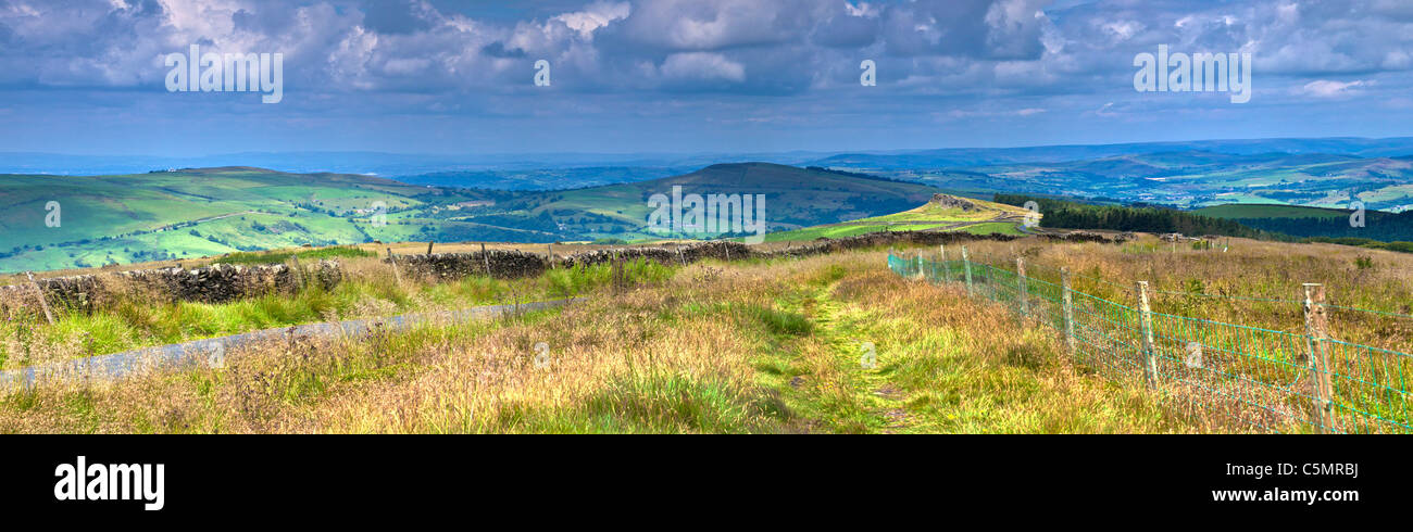 Cheshire-Hügel im Hochsommer Stockfoto
