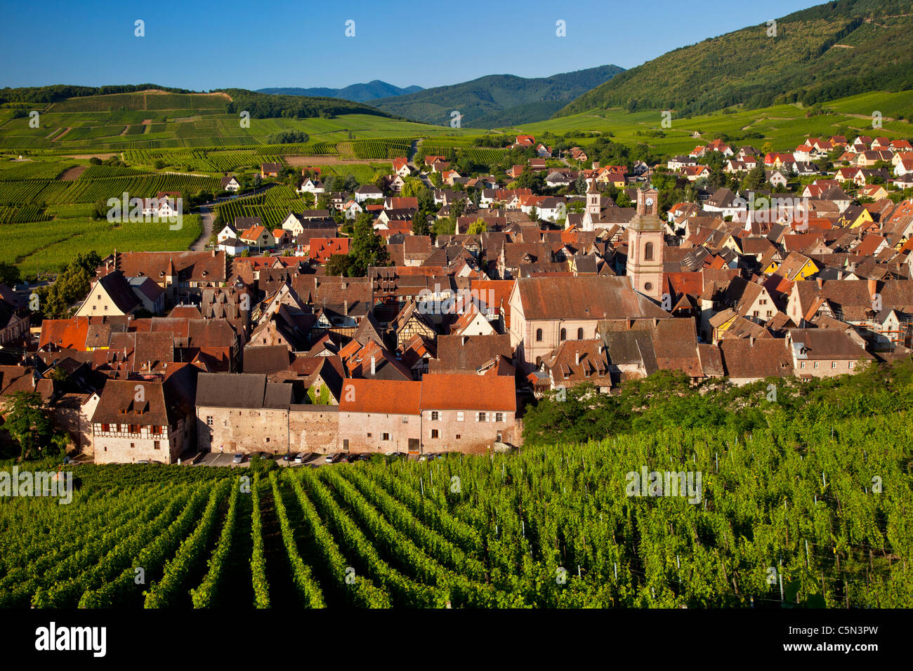 Am frühen Morgen mit Blick auf Dorf von Riquewihr, entlang der Wein Route, Elsass Haut-Rhin-Frankreich Stockfoto
