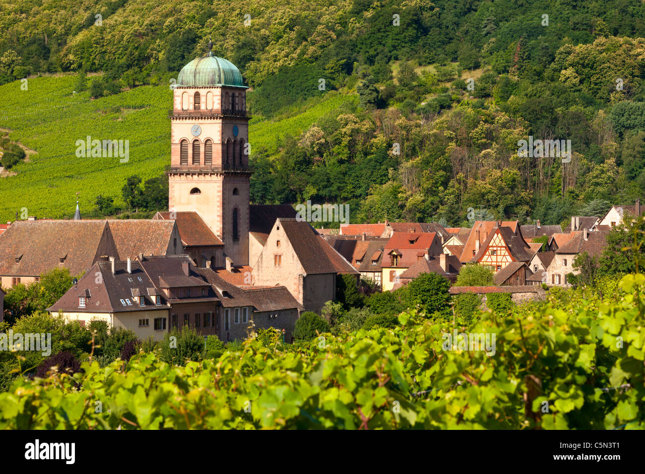 Dorf von Kaysersberg mit Turm von Sainte Croix Kirche inmitten der Weinberge von Grand Cru, Elsass Haut-Rhin-Frankreich Stockfoto