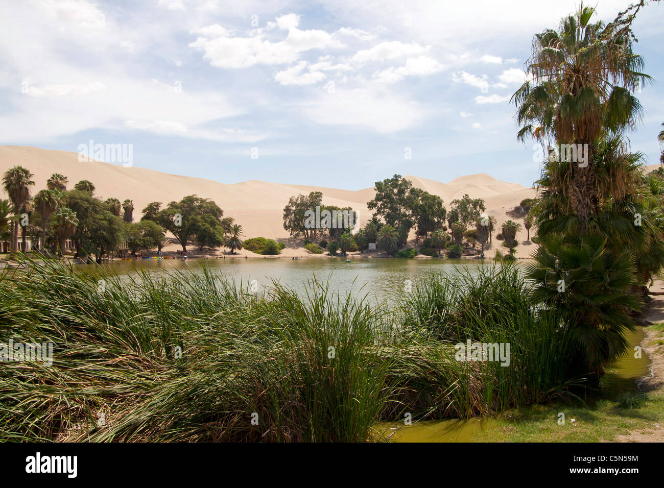 Huacachina Oase, Ica, Südperu, mit Touristen, die verschiedene Aktivitäten im Hintergrund (Sechura Wüste) Stockfoto