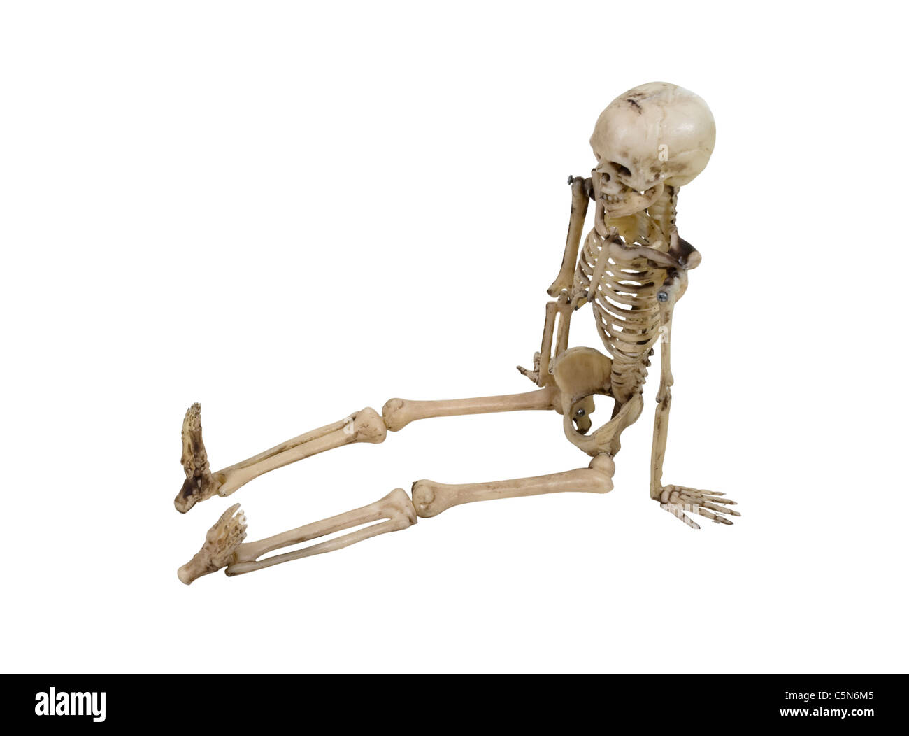 Sitzendes Skelett Stockfotos Und Bilder Kaufen Alamy