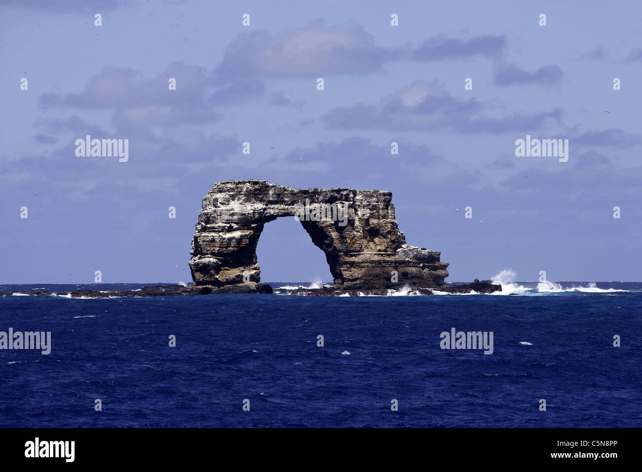 Darwins Arch offshore Darwin Insel, Galapagos, Ecuador Stockfoto