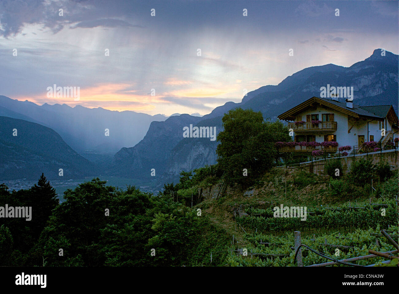 Dolomiten, Faedo, Trentino, Italien Stockfoto