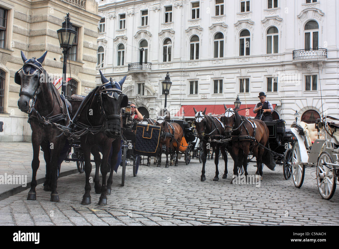 Fiaker (Pferdekutsche) in Wien, Österreich Stockfoto