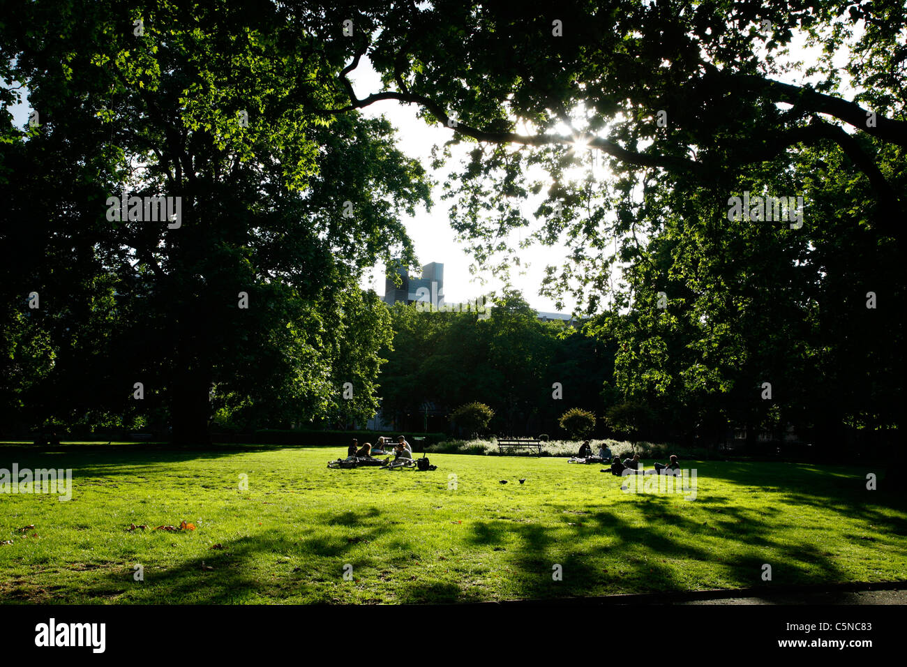 Sommer-Abendsonne in Brunswick Square Gardens, Bloomsbury, London, Großbritannien Stockfoto