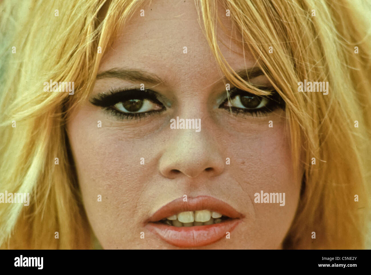 Brigitte Bardot Stockfotografie Alamy