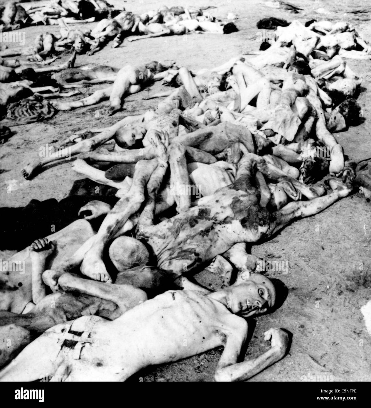 Leichen in das KZ Bergen-Belsen, 1945 Stockfoto