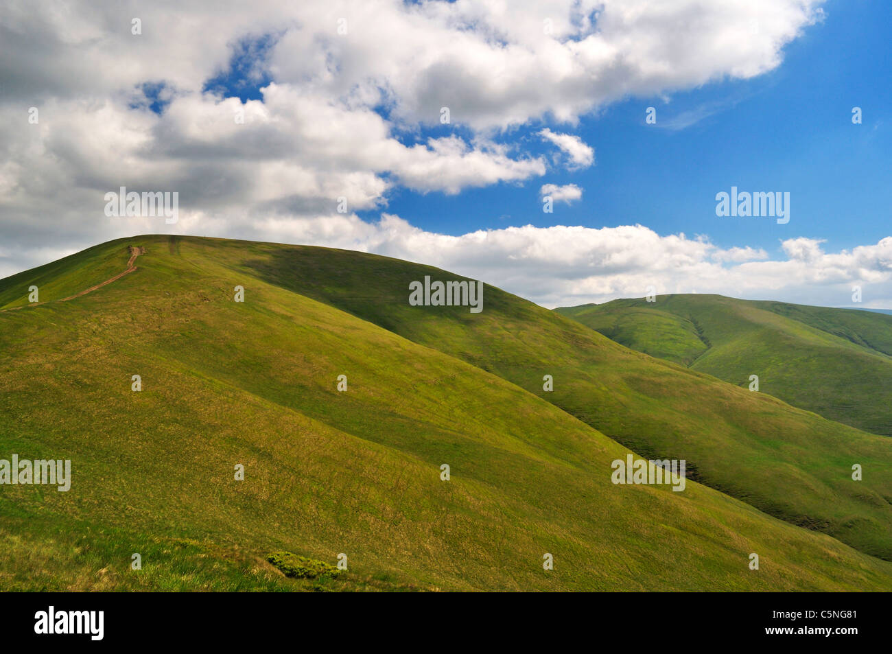 Bergwiesen in Karpaten Stockfoto