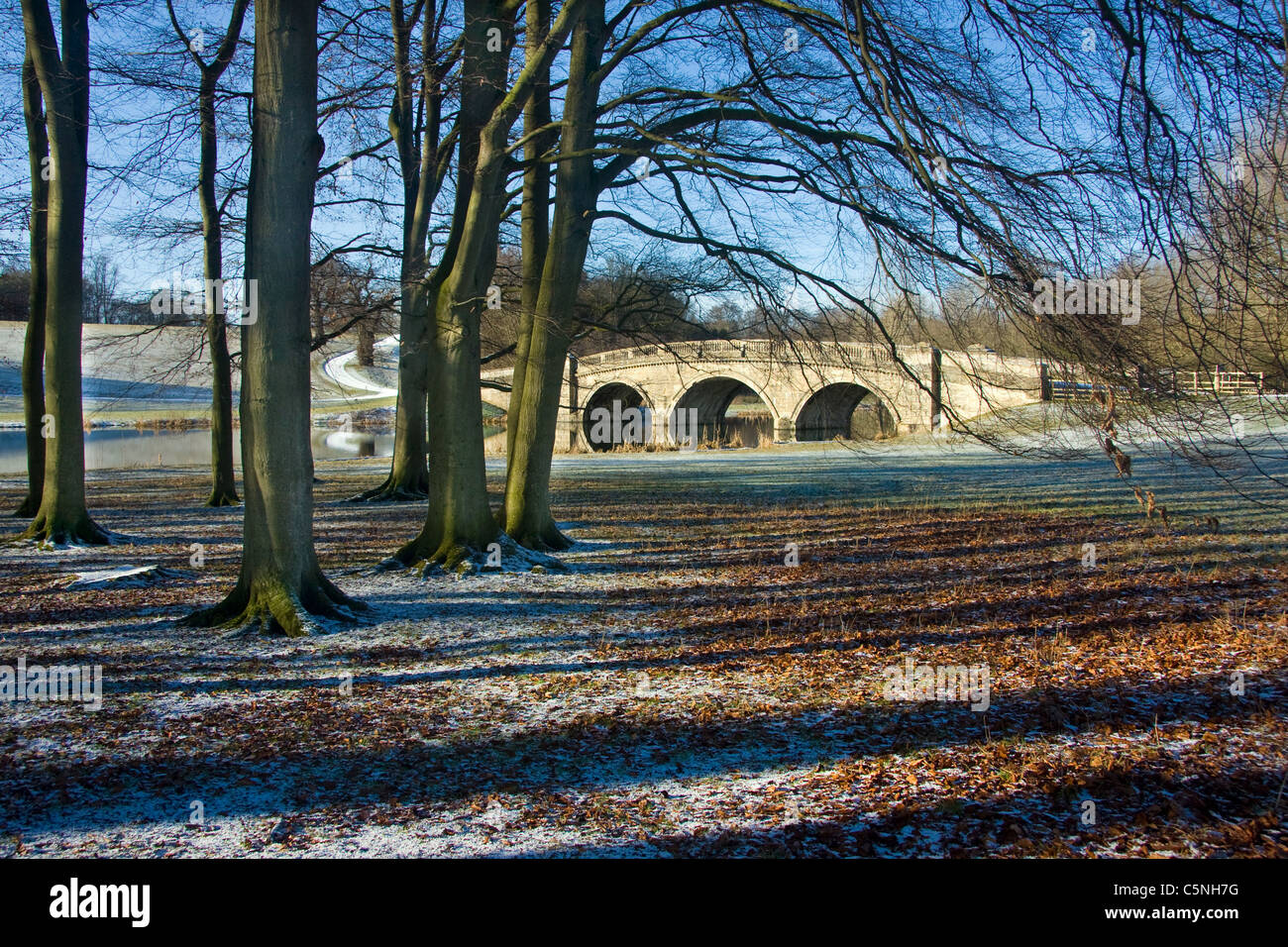 Brücke über den Fluß Glyme, Blenheim Palace, England Stockfoto