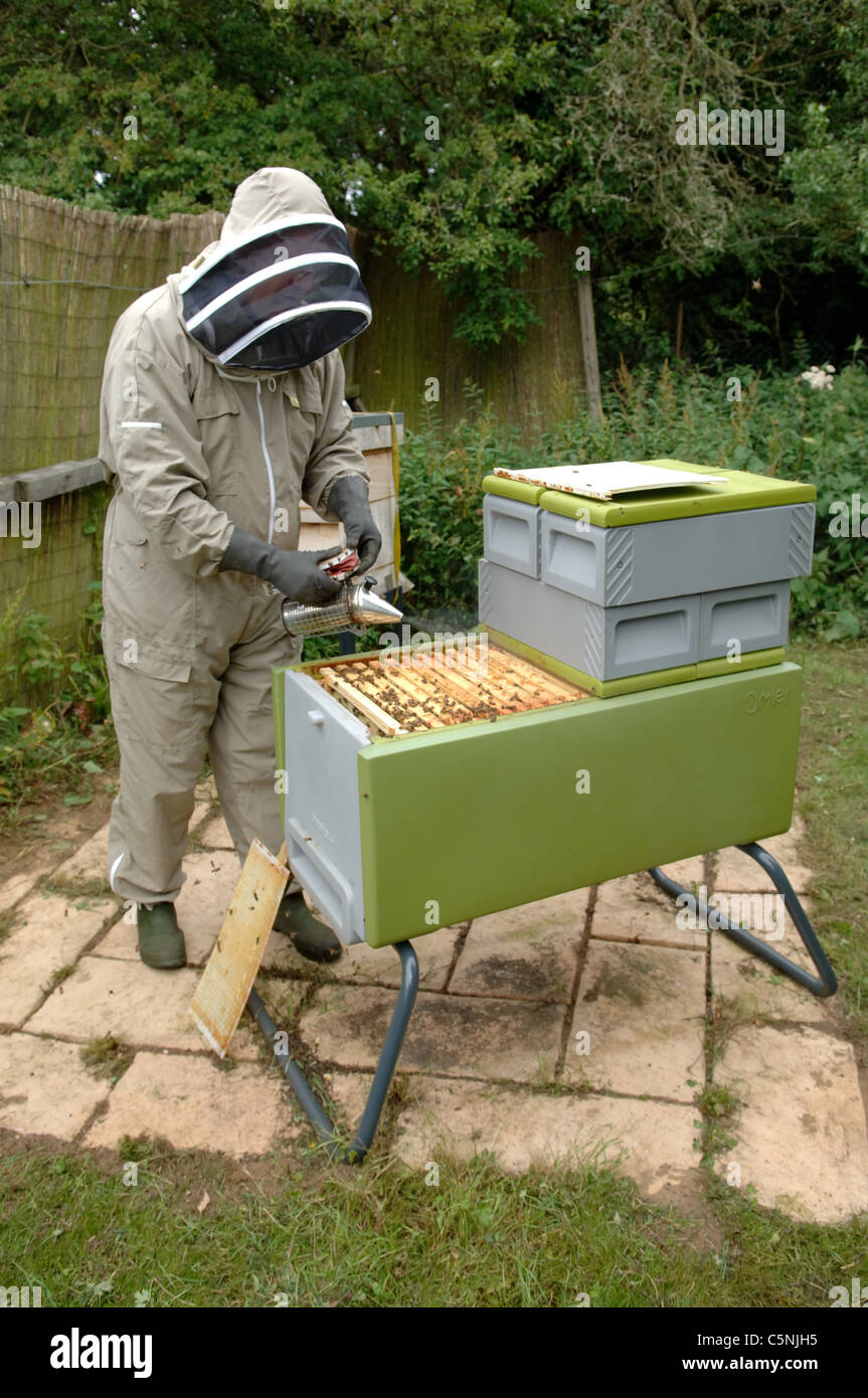 Imker, die Inspektion eines Kunststoff Bienenstocks Stockfoto