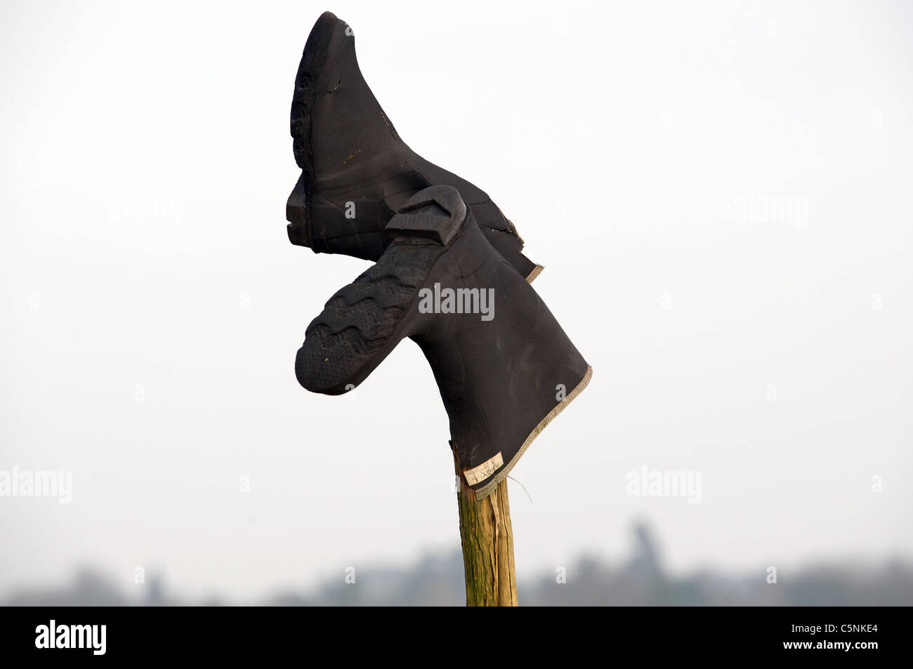 Wellington Stiefel Austrocknen auf post Stockfoto