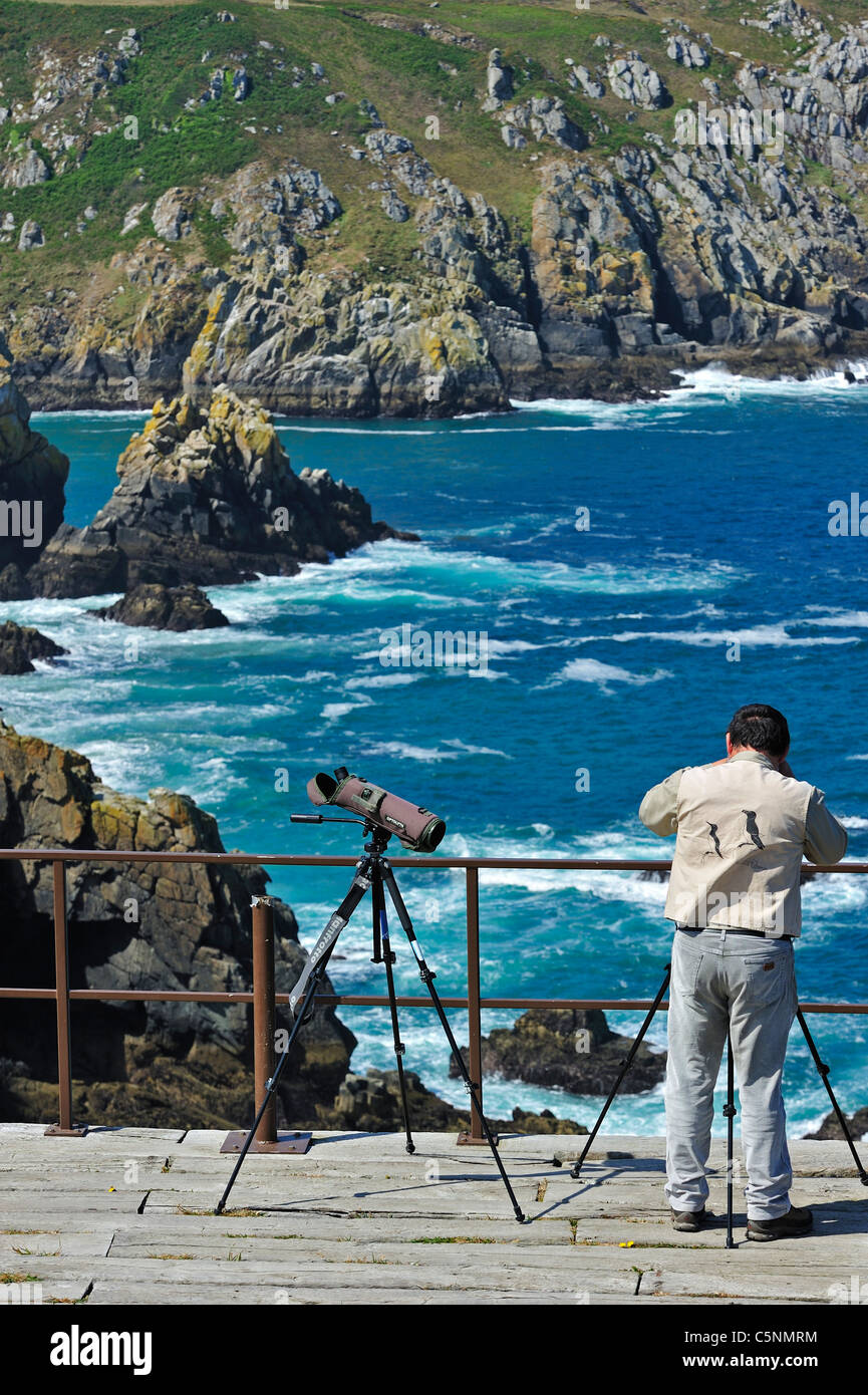 Vogelbeobachter mit Teleskop am Cap de Sizun, Natur reservieren und Vogelschutzgebiet in Finistère, Bretagne, Frankreich Stockfoto