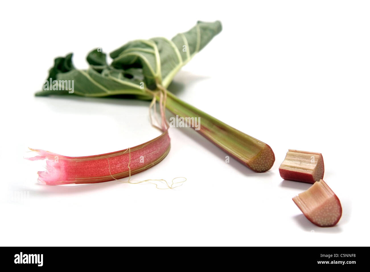 Frische Rhabarber Stockfoto