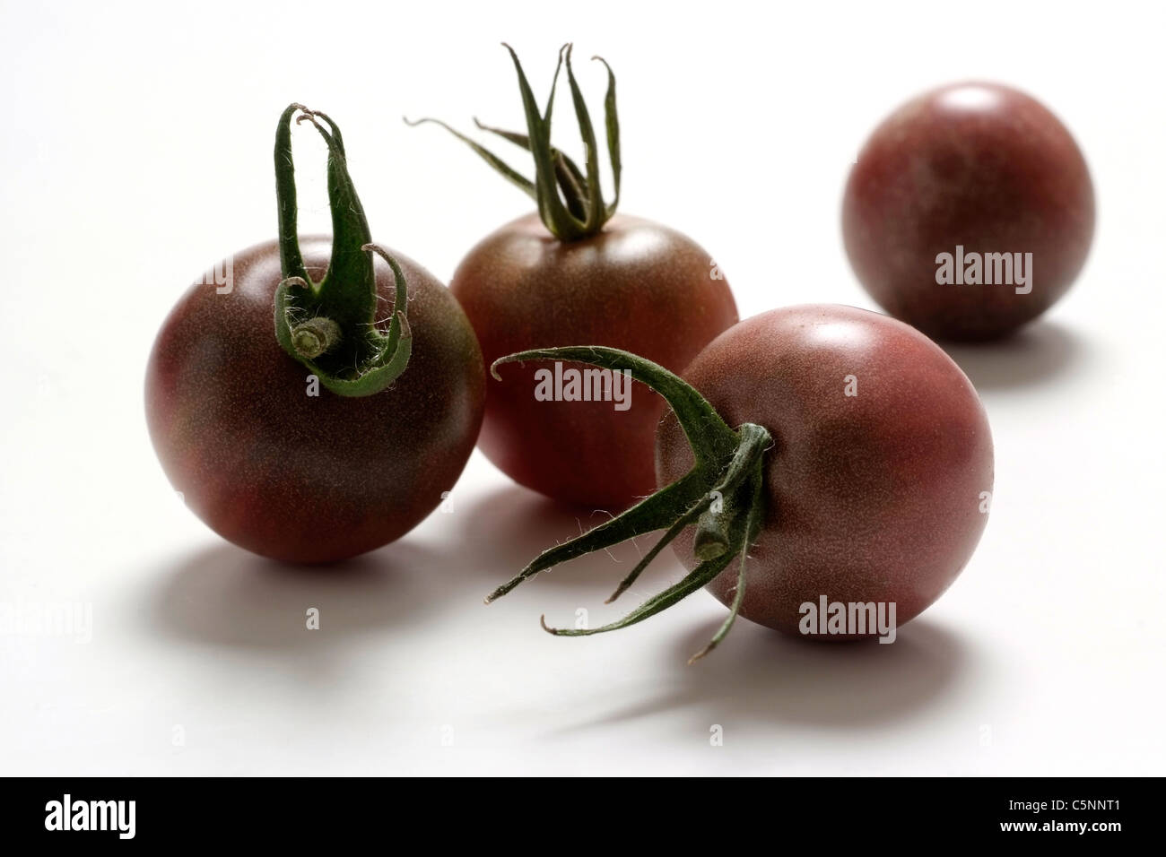 Tomatensorten: Black Cherry-Tomate Stockfoto
