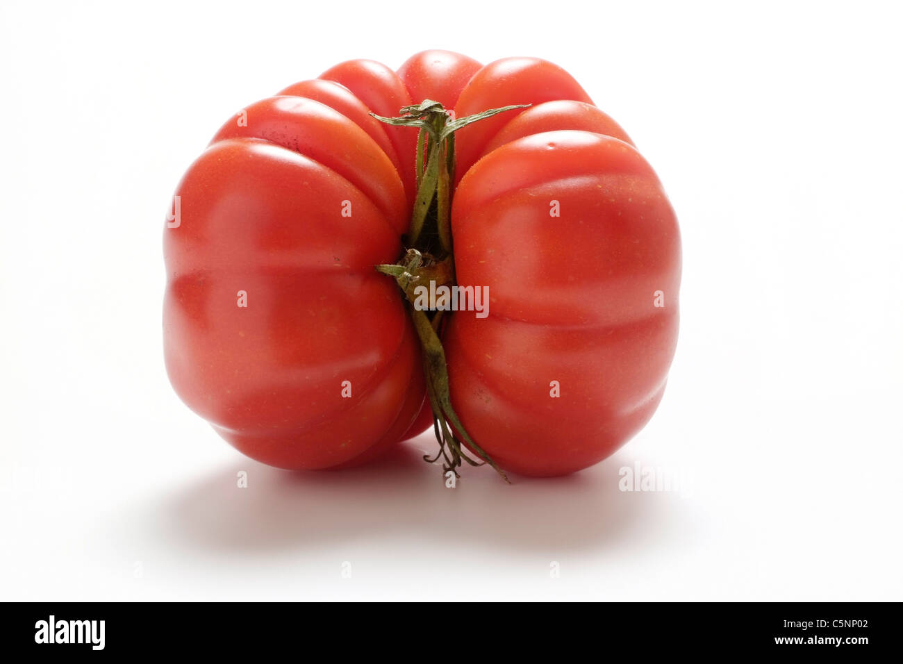 Tomatensorten: Marmandino 1 Stockfoto