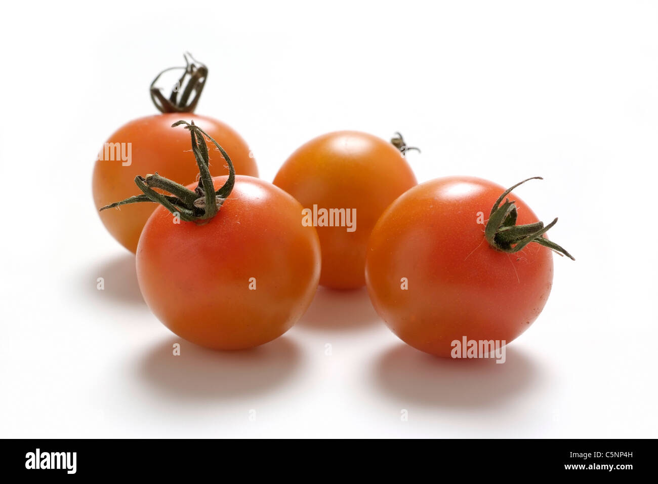 Tomatensorten: Sungella Stockfoto