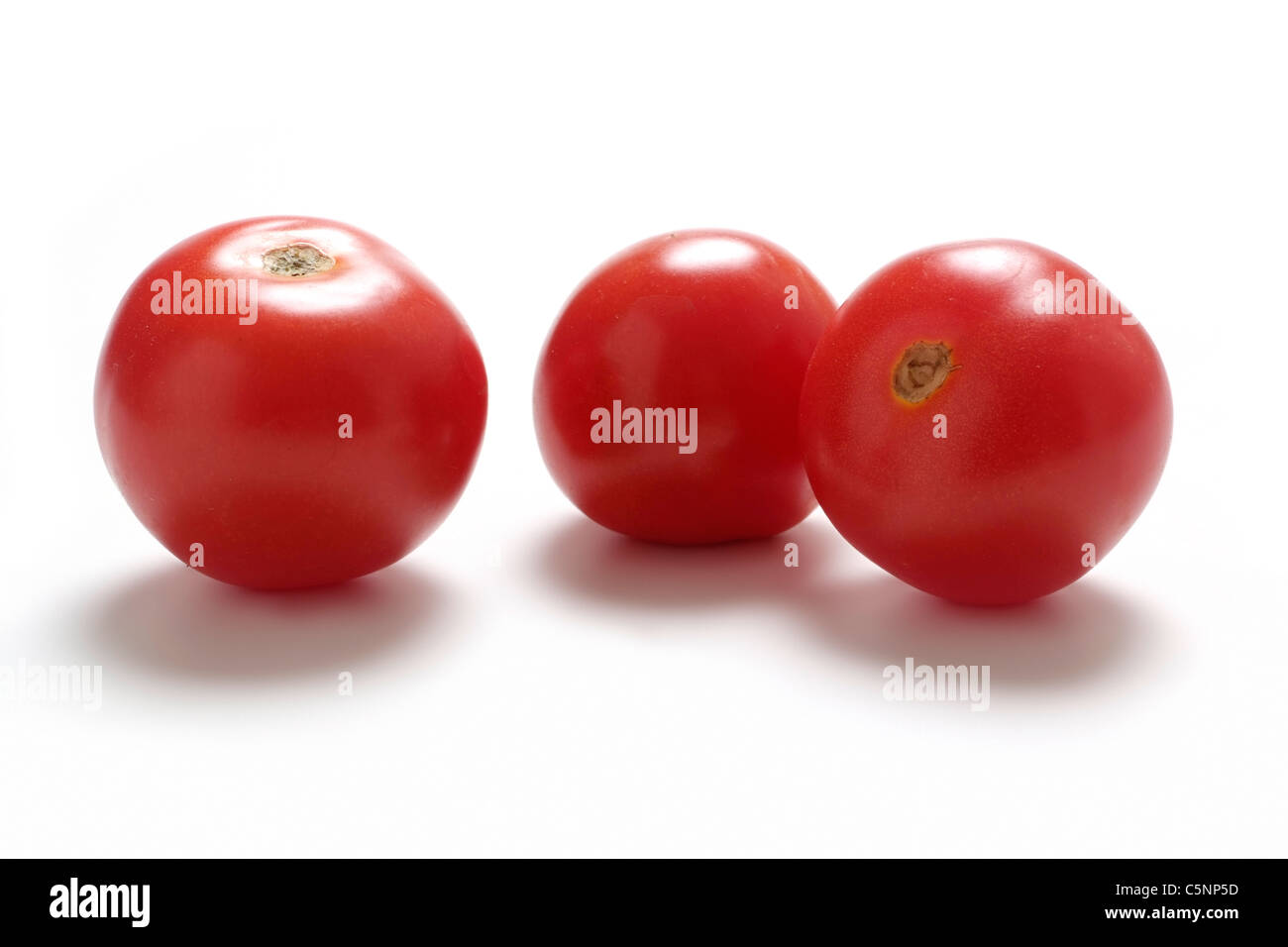 Tomatensorten: Wladiwostock Stockfoto