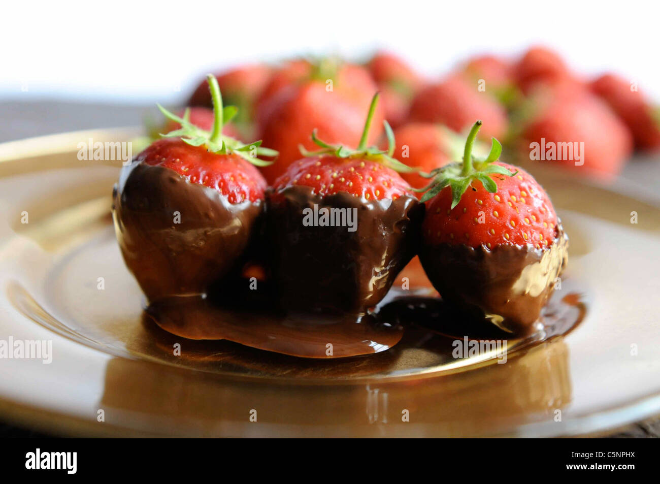 Erdbeeren mit Schokolade Stockfoto