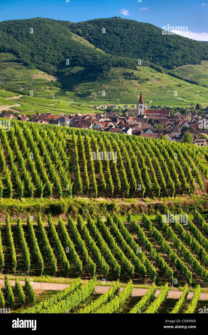 Dorf von Ammerschwihr, umgeben von Weinbergen des Grand Cru entlang der Wein Route, Elsass Haut-Rhin-Frankreich Stockfoto