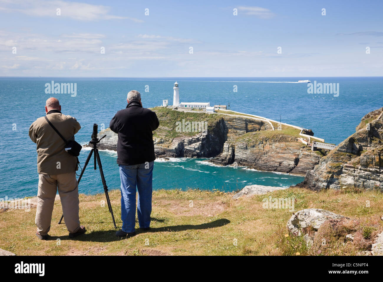 Vogelbeobachter mit Fernglas Sea Watch und Vögel auf Klippen mit South Stack Leuchtturm auf Ynys Lawd heiligen Insel. Isle of Anglesey Wales UK Stockfoto