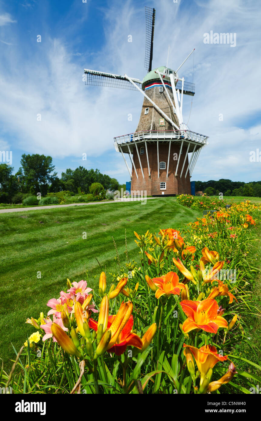 Sommerblumen mit historischen holländischen Windmühle im Hintergrund Stockfoto