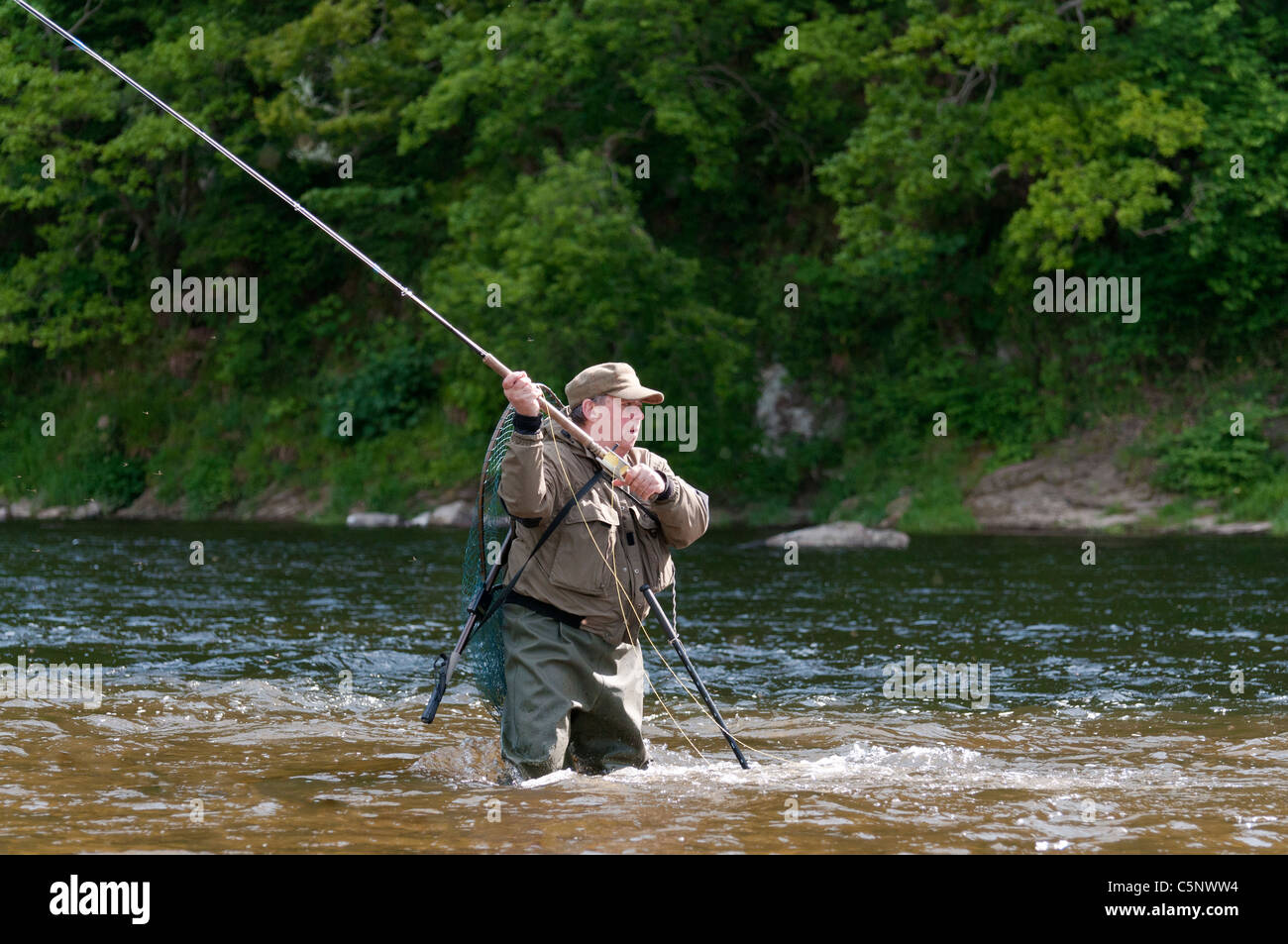 Fischer-Fliegenfischen auf Lachs am Fluss Tweed, Scottish Borders, Schottland Stockfoto