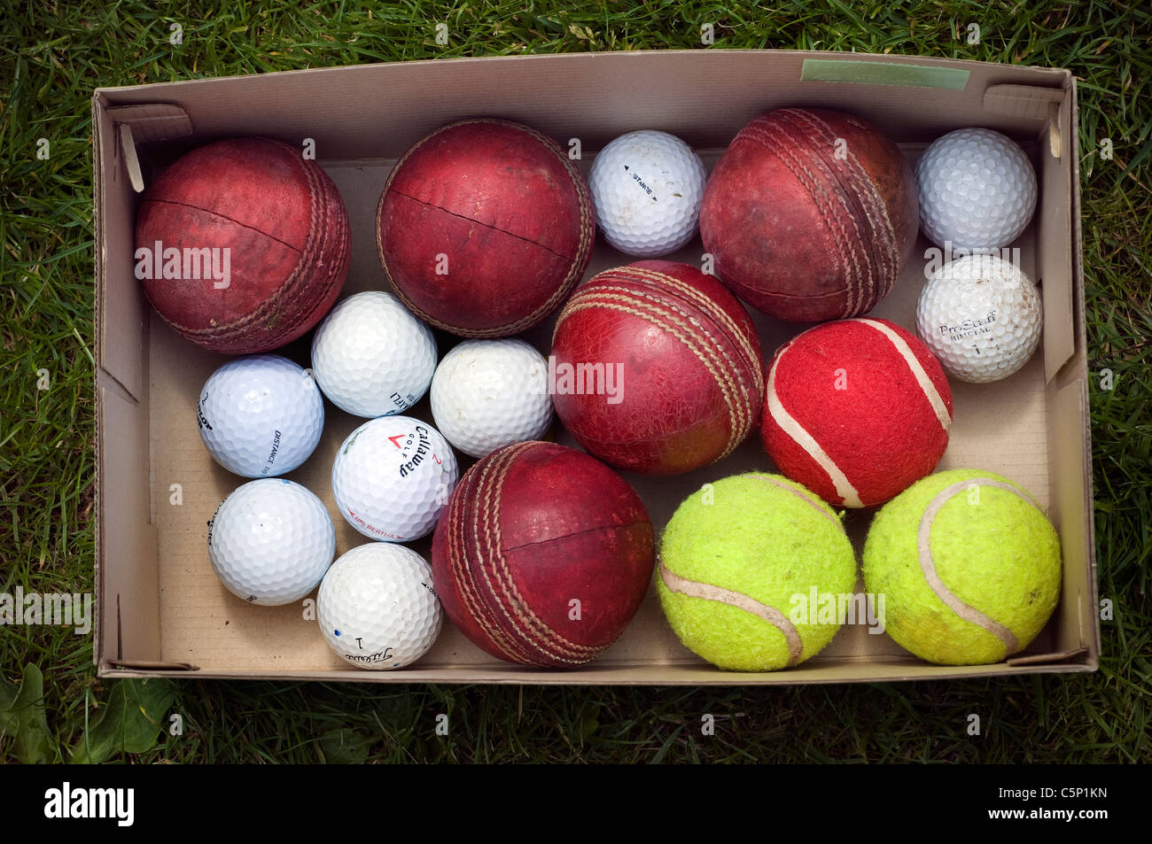 Schachtel mit sportlichen Kugeln, roten Cricketball auf dem grünen Rasen, roten Cricketball auf dem grünen Rasen, CRICKET, BALL, rot, Naht, alt, abgenutzt, golf Stockfoto
