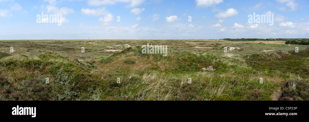 Panorama über die Dünen der dänischen Insel Romo, Jütland, Dänemark Stockfoto