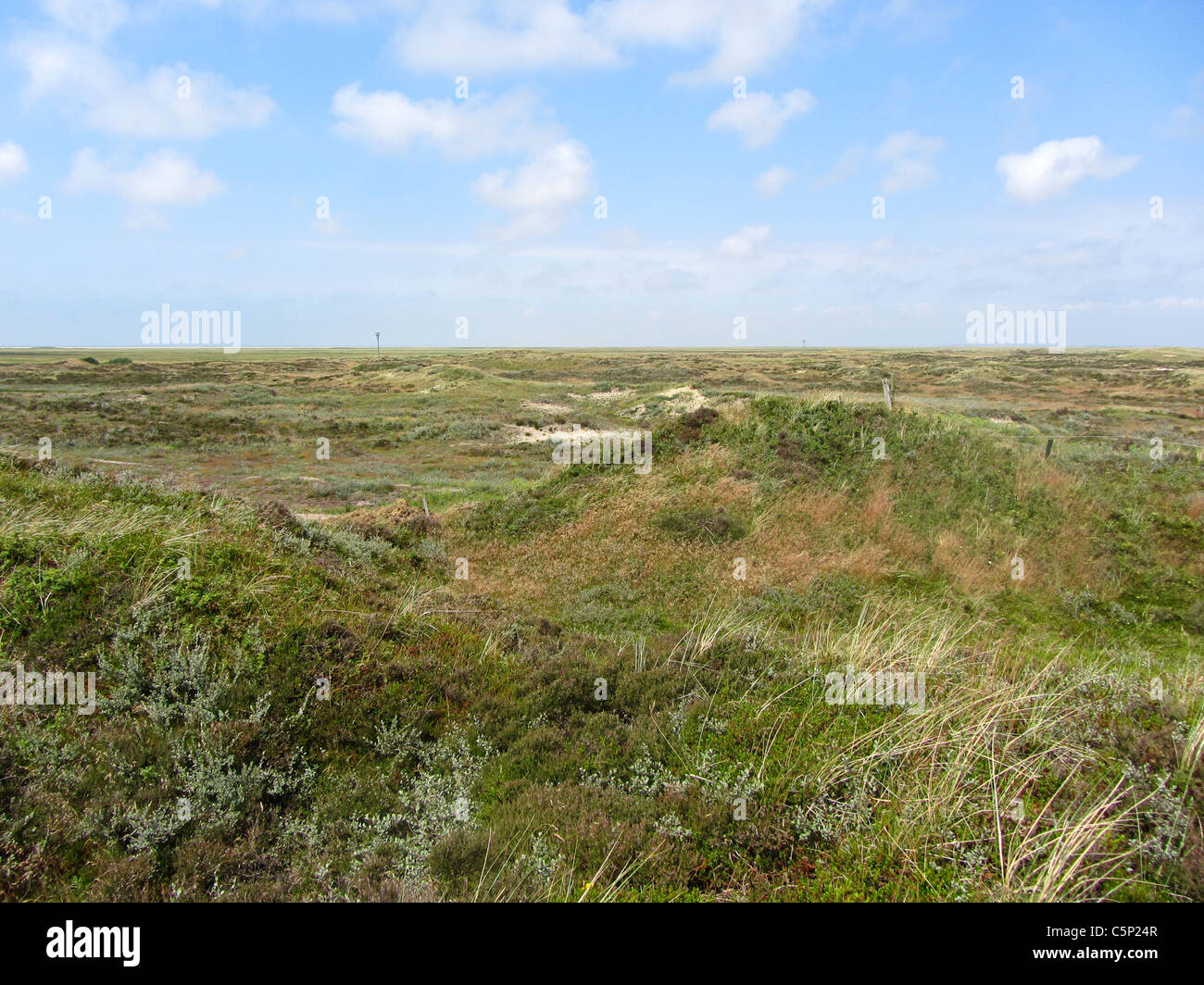 Dünen der dänischen Insel Romo, Jütland, Dänemark Stockfoto