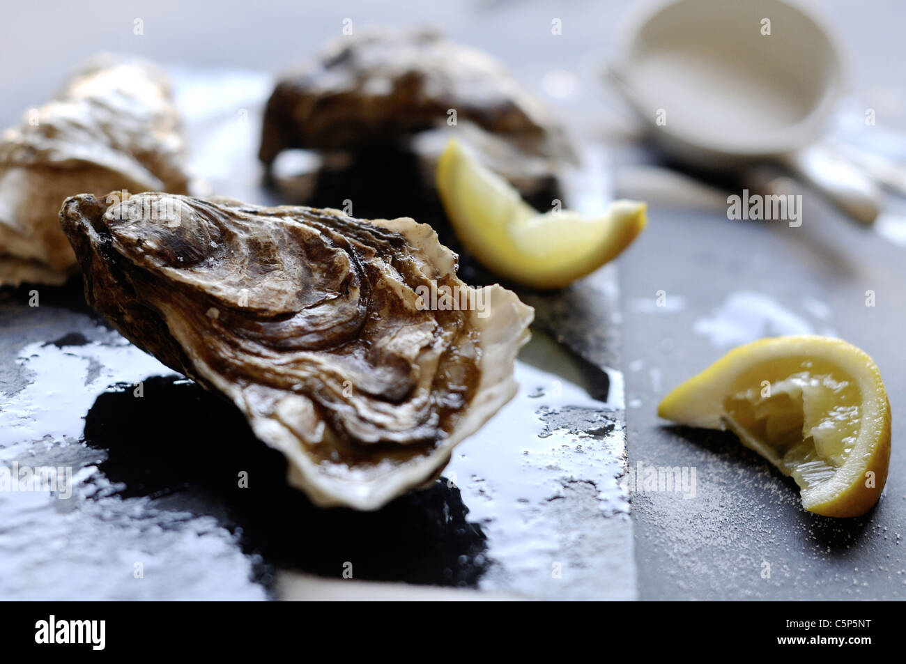 Austern mit Zitrone und Salz Stockfoto